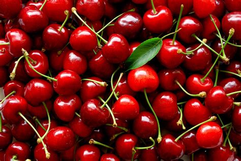 Cherie cherie: 6 impressive health benefits of Turkey's cherries | Daily Sabah