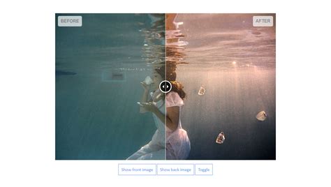 jQuery Examples 的图像结果