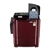 11.5KG Semi Automatic Washing Machine - P115ASDAZ | LG IN