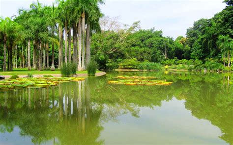 【携程攻略】西双版纳热带花卉园景点,西双版纳热带花卉园位于景洪市城区的云南省热带作物科学研究所内，隶…