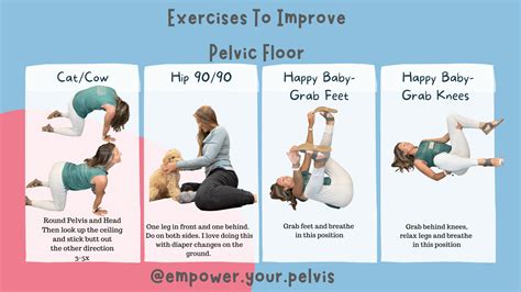 Best Pelvic Floor Strengthening Exercises For Seniors | Viewfloor.co