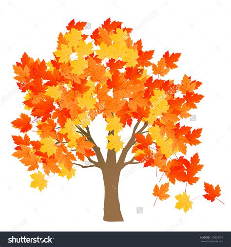 Image result for Maple Tree Drawing Reference