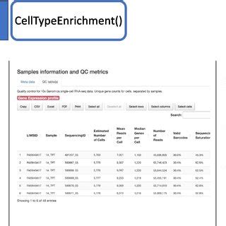 Python Create Interactive HTML Report 的图像结果