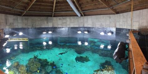 Image result for Toledo Zoo Python