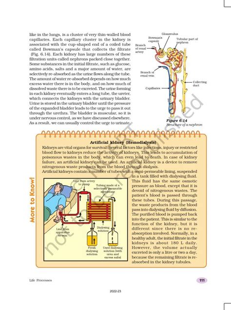 Class 10 Science Chapter 6 All Processes 的图像结果