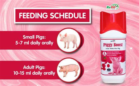 Refit Animal Care Piggy Boost Iron Tonic - Pig Iron Supplement & Health ...