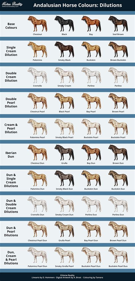 Pin by BabyPrincess on horses | Horse coat colors, Horse color chart ...