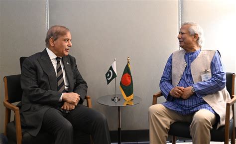 Bangladesh's Yunus huddles with Pakistan in futile promotion of SAARC