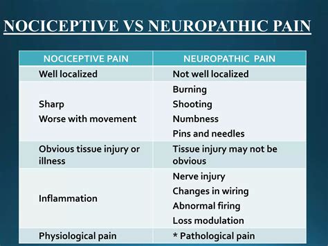 Physiology of pain pathways | PPTX