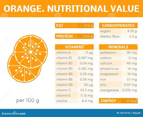 Orange infographic stock illustration. Illustration of info - 75210726