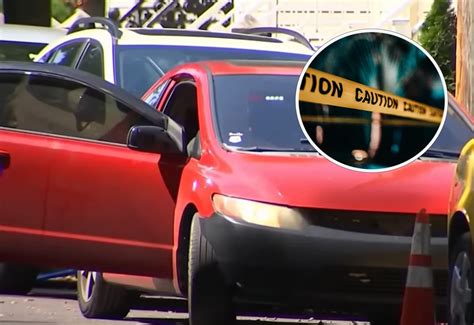 Would You Want to Visit Rat Island, New York's 2 Acre Island?