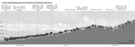 At the Brink | CEPT - Portfolio