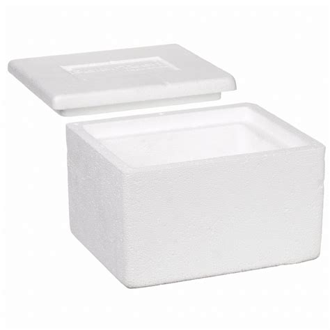 POLAR TECH Insulated Shipping Container: 6x4-1/2x3 in, 1 in Insert Wall ...