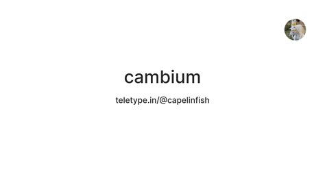 cambium — Teletype