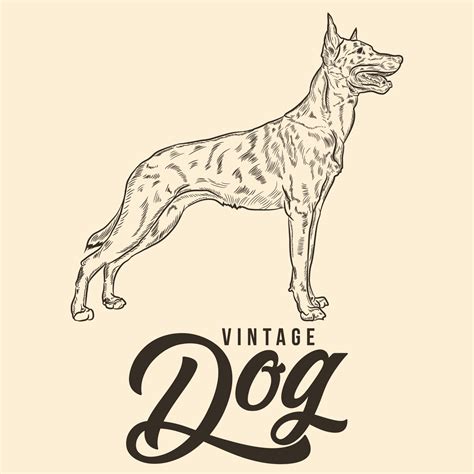 Image result for Time Machine Dog Drawing