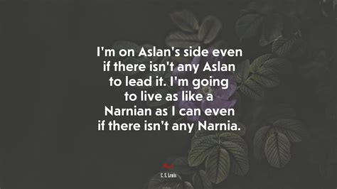 HD Aslan Lion Chronicles of Narnia, HD Wallpaper | Rare Gallery