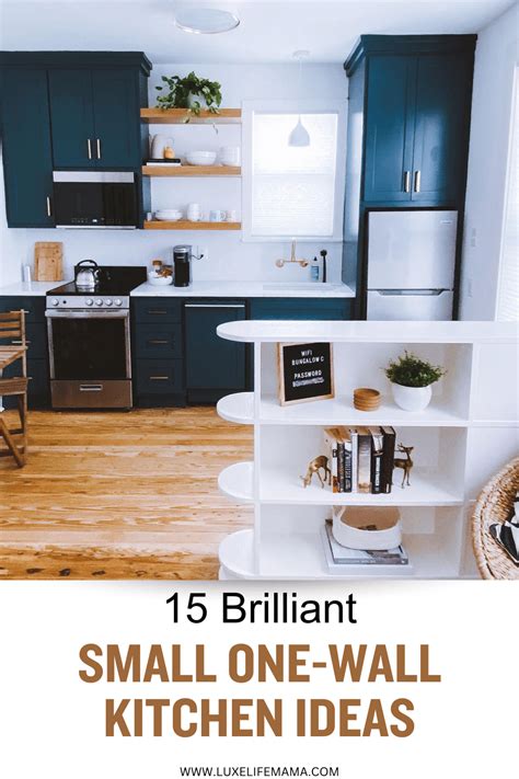 Image result for Small One Wall Kitchen Designs