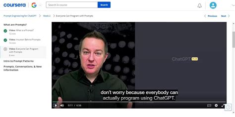 Deep Learning Ai Prompt Engineering Course 的图像结果