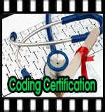 Coding Certification Program 的图像结果