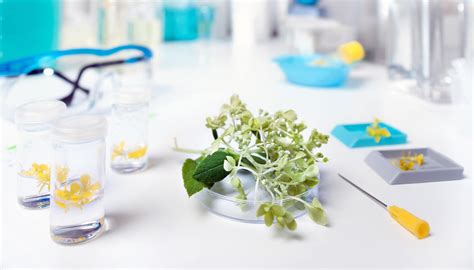 Image result for Food Testing Powder