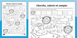 Fiche de numération : Compter et colorier les insectes