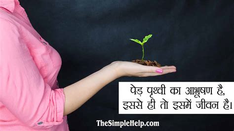 50+ सर्वश्रेष्ठ पेड़ बचाओ पर नारे (स्लोगन) - Slogans on Save Trees in Hindi