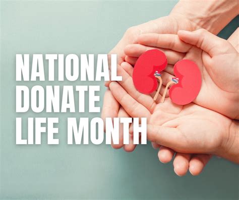 Stenshoel-Houske Funeral & Cremation Service | Crookston MN