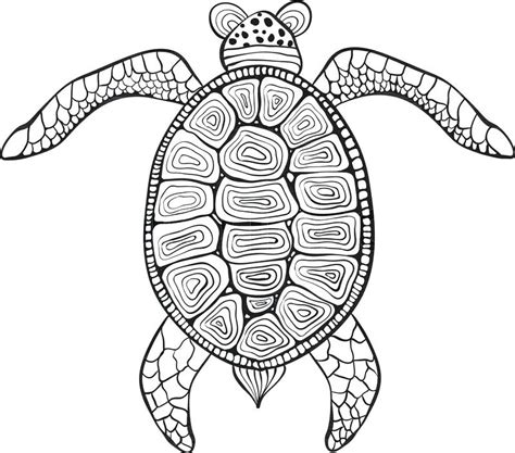 Image result for Turtle Shell Simple Drawing