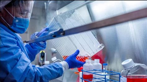 Zydus Cadila gets nod for phase 2 clinical study in CAPS patients in ...