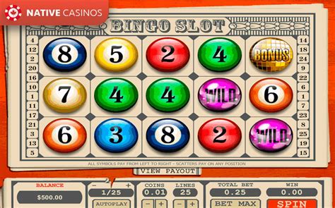 bingo 101 safe slots games,look no further