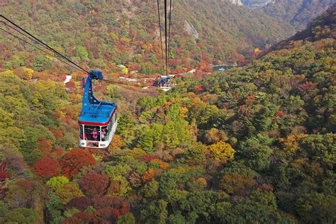 Private Maple Tree and Mt. Naejang Day Trip from Seoul