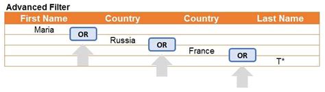 Image result for Using VBA to Create Filters