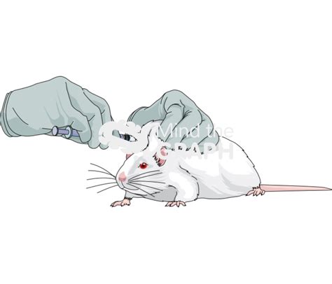 Image result for Subcutaneous Injection Mouse