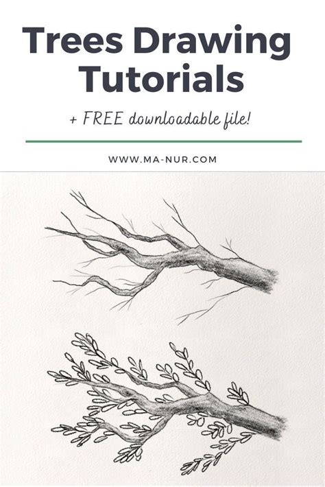 Tree Drawing Tutorial 的图像结果
