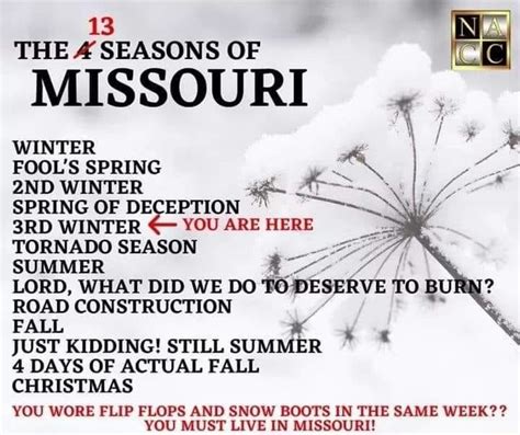 Image result for Winter Spring/Summer Fall Motown Lyrics