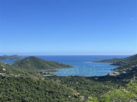 Local Film GREENx Now Available for Public Screening and Online | St ...