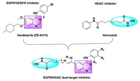 Quinazoline Based HDAC Dual Inhibitors as Potential Anti-Cancer Agents