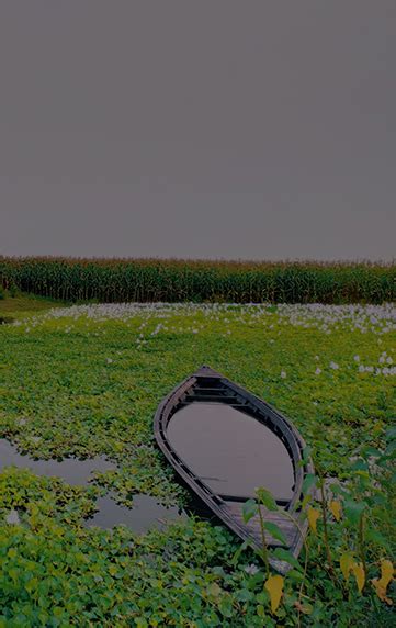 A Journey Through Assam's Enchanting Rural Landscapes