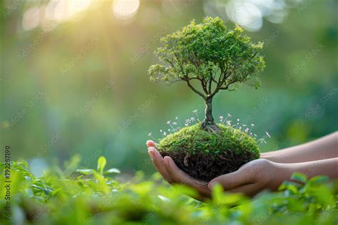 Environment Setting 的图像结果