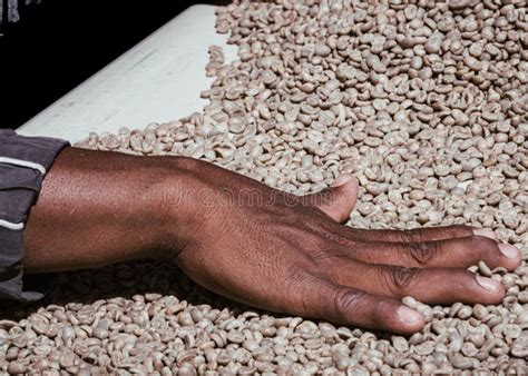 Image result for Hand Sorting Method