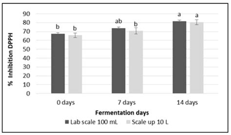 Scaling Up Red Ginger Kombucha Fermentation: Insights into Its Chemical ...