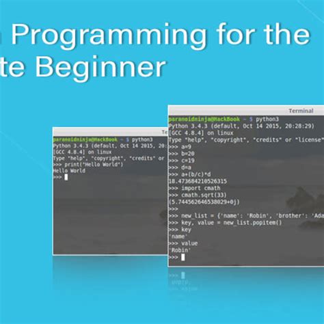 Basic Beginners Friendly Python 的图像结果