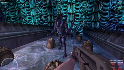 Image result for Alien versus Predator Classic 2000