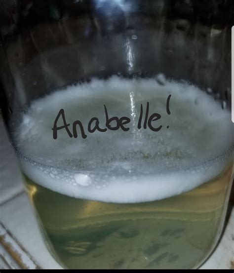 Bleach Pregnancy Test Foamed Up And Stayed - revolvediy