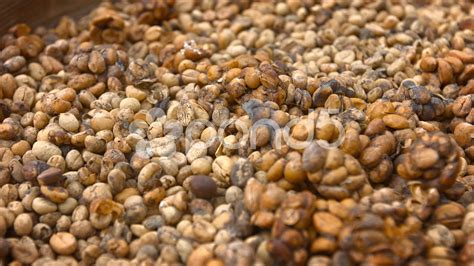 Stool That Looks Like Coffee Grounds