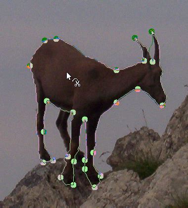 Image result for Intelligent Scissors