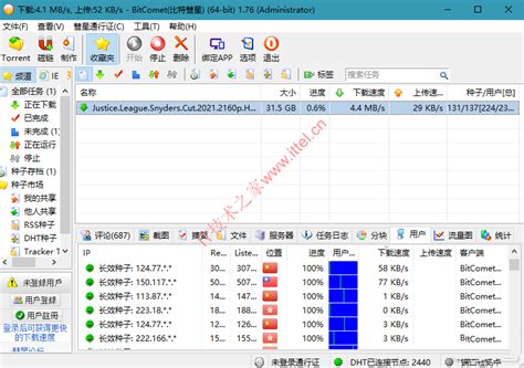 BitComet Tutorial 的图像结果