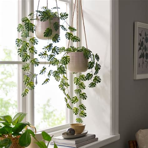 FEJKA artificial potted plant, in/outdoor hanging/Monstera, 9 cm (3 ½ ...