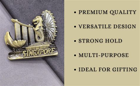 DT DECTONE Regular Metal Fridge Magnet, Singapore 3D Metal Magnet for ...