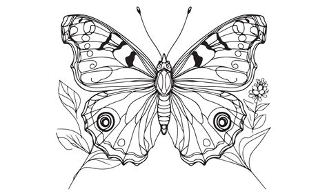 Butterfly coloring pages for adults 51547095 Vector Art at Vecteezy